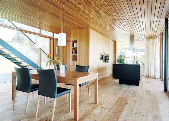 Планкен прямой из лиственницы