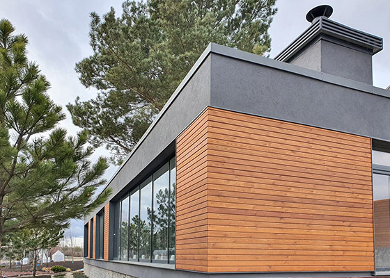 Планкен скошенный из лиственницы